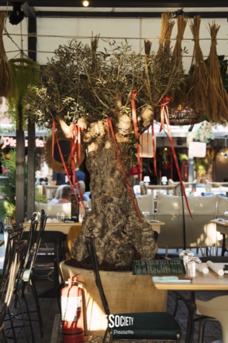 The-Society-by-Piazzetta-Bacau-Damian-Draghici-20