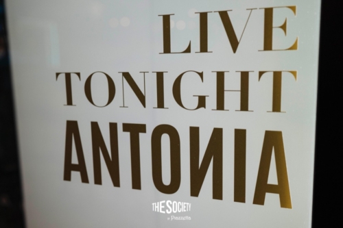 The-society-by-Piazzetta-Antonia-95