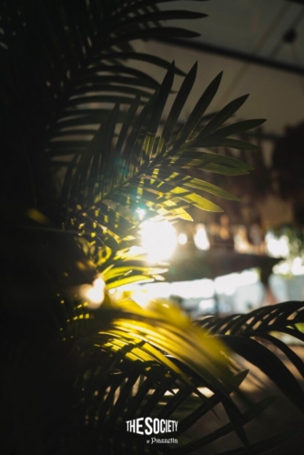 The-society-by-Piazzetta-Misha-Miller199